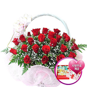 �󼼳��뺸��