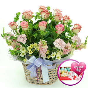 �󼼳��뺸��