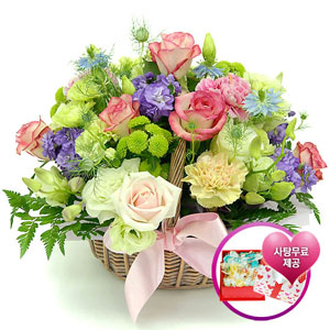 �󼼳��뺸��