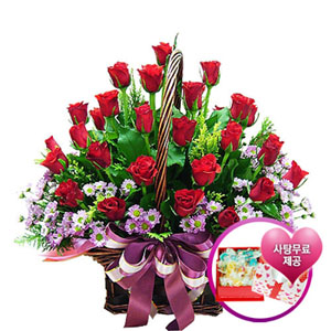 �󼼳��뺸��