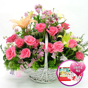 �󼼳��뺸��