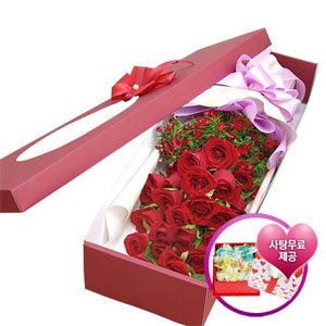 �󼼳��뺸��