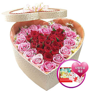 �󼼳��뺸��