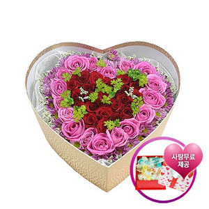 �󼼳��뺸��