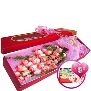 �󼼳��뺸��